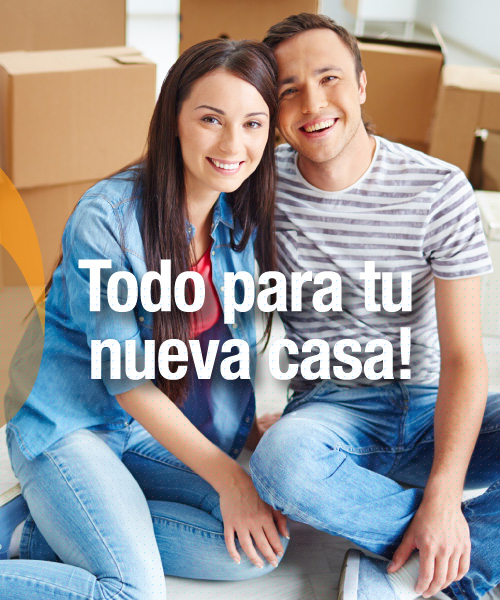 Papelera Sur