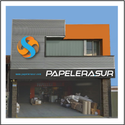 Papelera Sur - Visión
